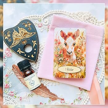 Amazon.co.jp: 【正規品】dreamland animals Lenormand ドリーム